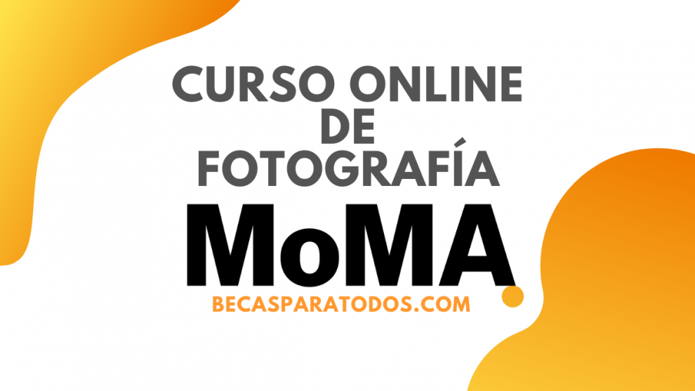 Curso online fotografía moma