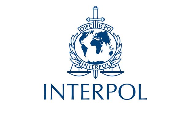 interpol practicas profesionales