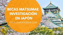 Becas Matsumae investigación