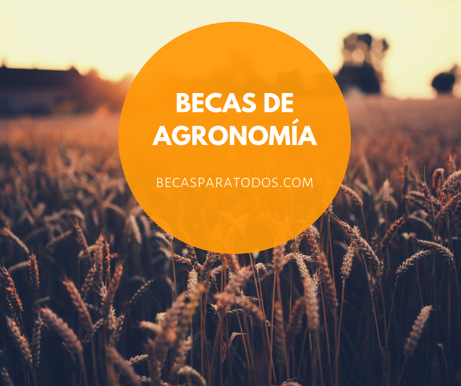 becas de agronomía