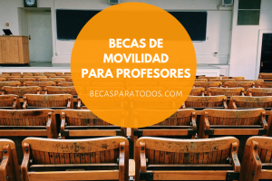 becas de movilidad para profesores