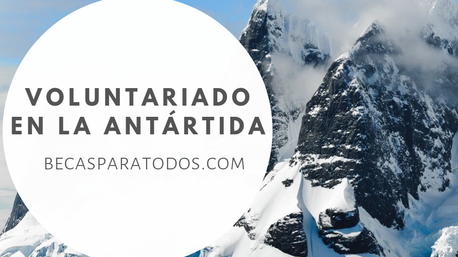Voluntariado en la Antártida, Airbnb - Becas para todos