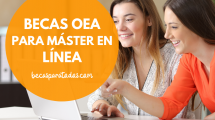 becas oea master online