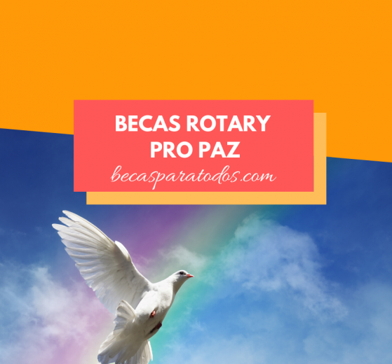 becas rotary pro paz