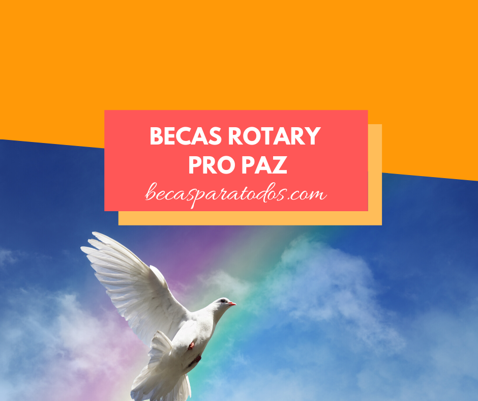 becas rotary pro paz