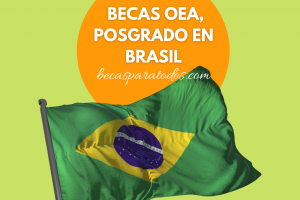 Becas oea brasil
