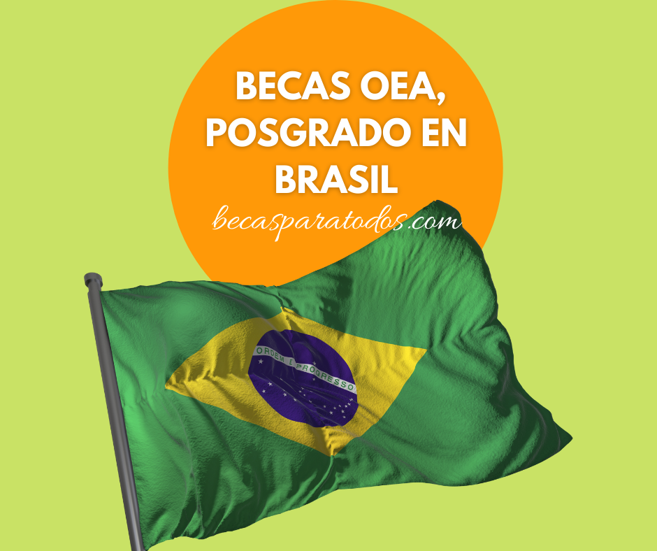 Becas oea brasil