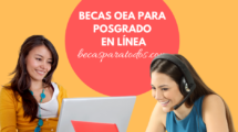 Becas OEA para posgrado en línea