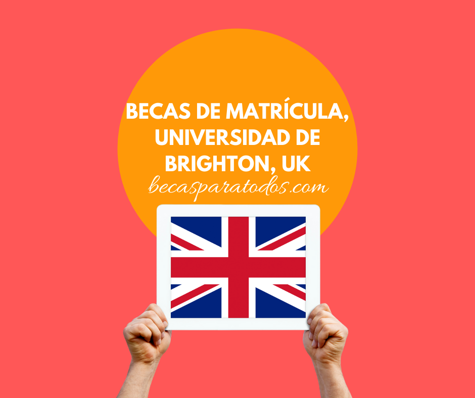 Becas de grado, Universidad de Brighton