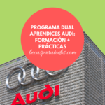 Dual Aprendices Audi