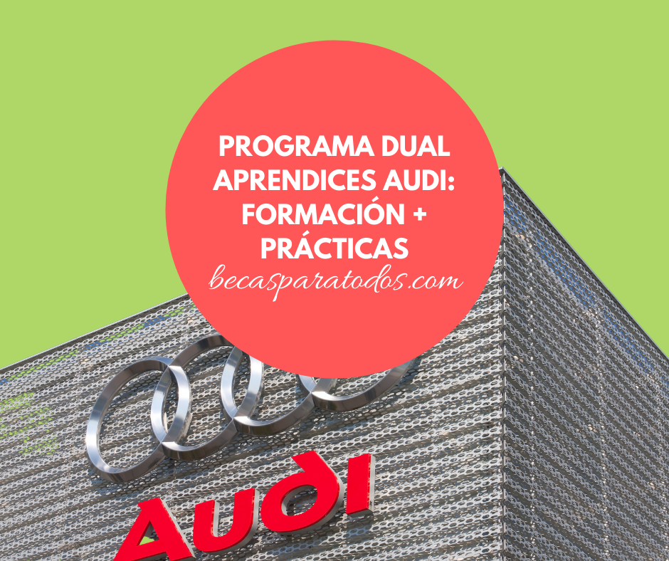Dual Aprendices Audi