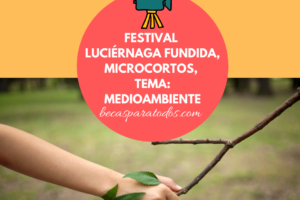 microcortos Festival Luciérnaga Fundida