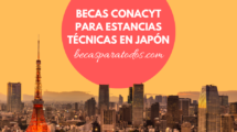 becas japon