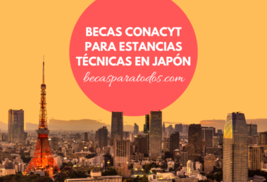 becas japon